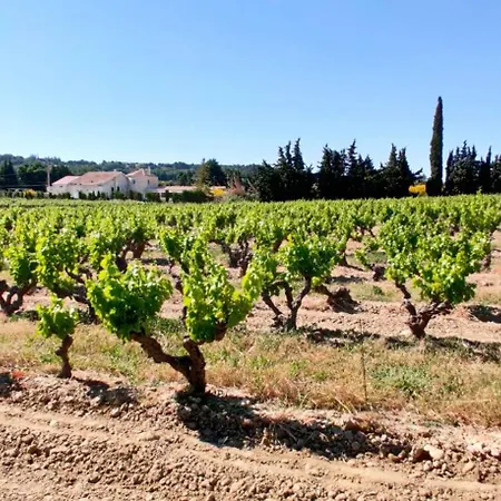 Apartment Cosy Avec Terrasse Sur La Colline Boisee, Parking Prive, Jardin, Calme, Climatisation, 10 Mn Pont Du Gard Num7 *