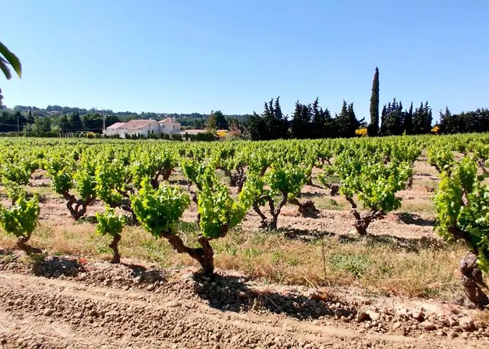 Apartamento Cosy Avec Terrasse Sur La Colline Boisee, Parking Prive, Jardin, Calme, Climatisation, 10 Mn Pont Du Gard Num7 *